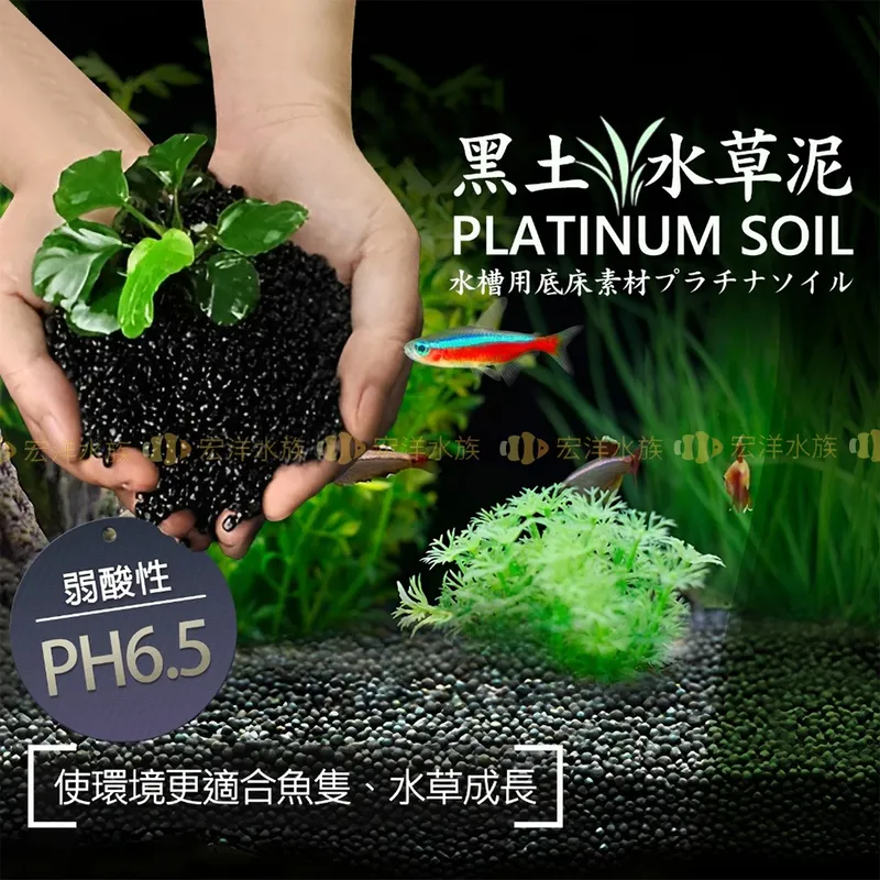 宏洋水族 水草黑土泥（100g 裝）