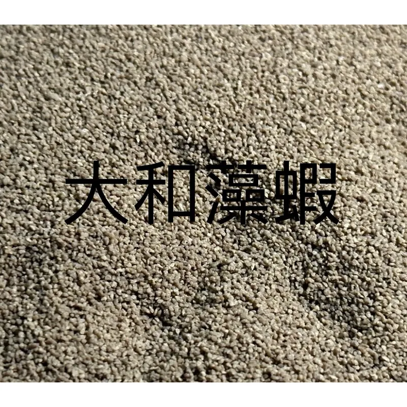 大和藻蝦沉底飼料