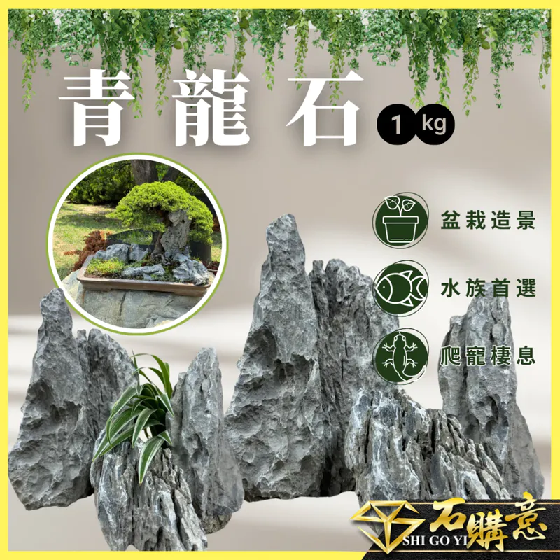石購意 青龍石 1kg（天然水族造景石）