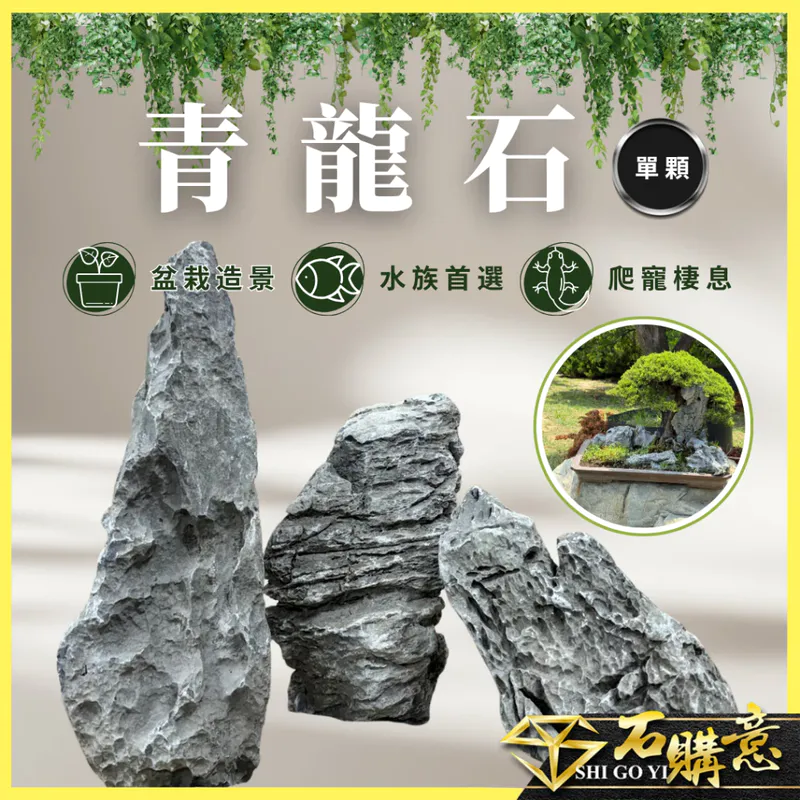 青龍石散顆 (石購意)