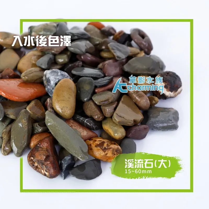 AC草影 溪流石