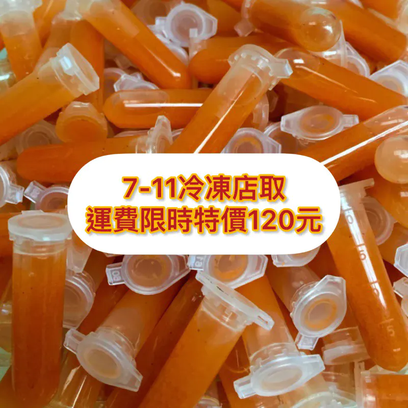豐年蝦磚 試管裝