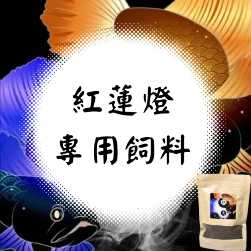 紅蓮燈專用飼料（Cardinal Tetra）