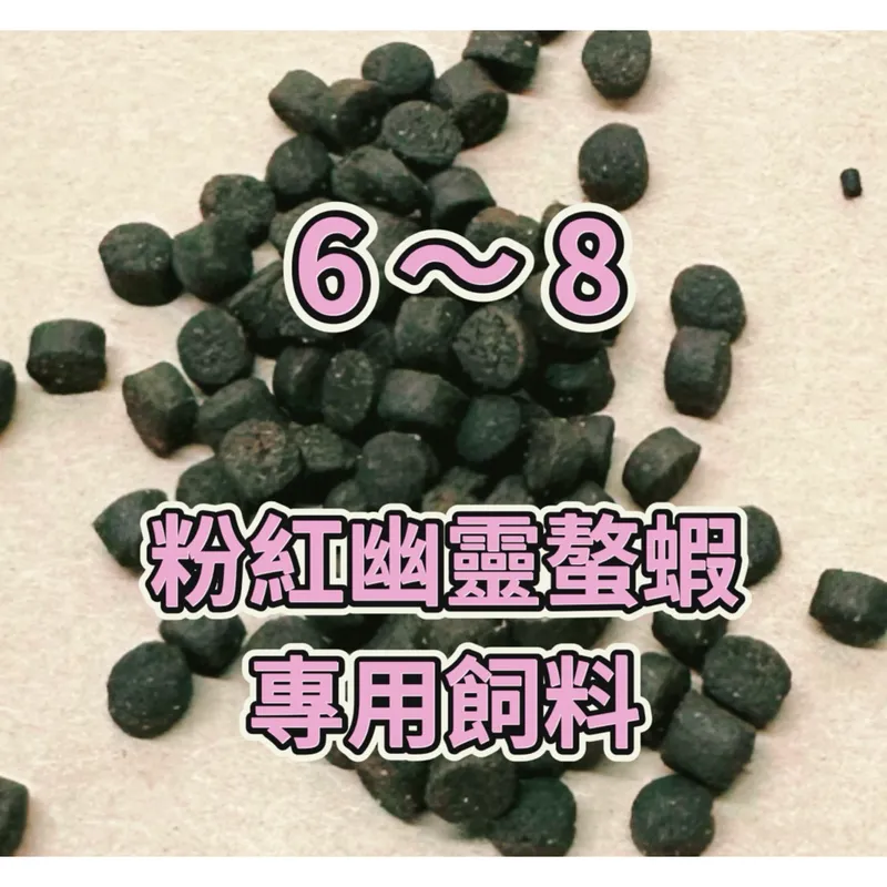 粉紅幽靈螯蝦活體