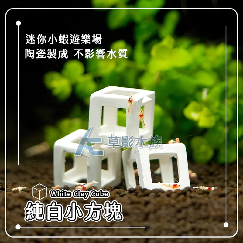 AC草影 純白小方塊 水晶蝦礁（躲藏繁殖屋）