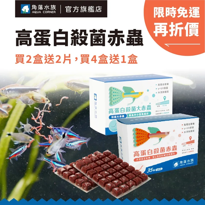 角落水族 高蛋白殺菌赤蟲（冷凍紅蟲）5 片盒裝