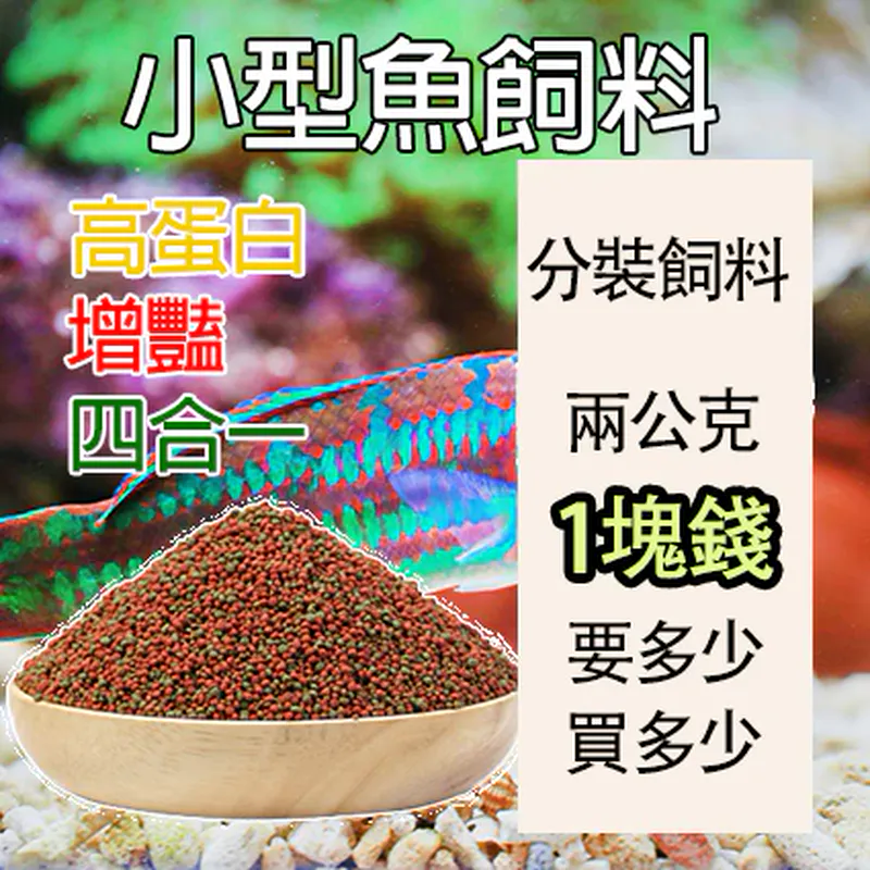 PJ小舖孔雀魚飼料（增豔高蛋白）