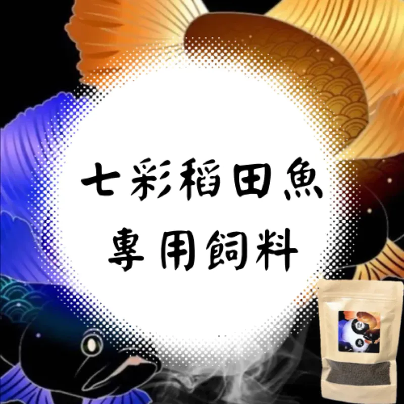 觀魚水族 七彩稻田魚專用飼料