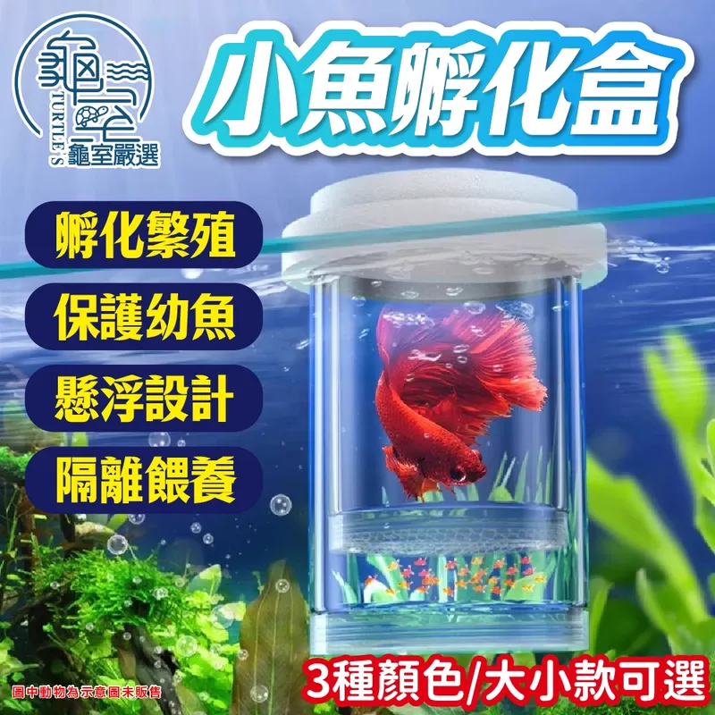PJ小舖 小魚孵化盒／隔離盒