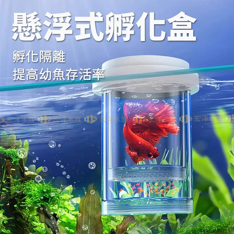 宏洋水族 懸浮式孵化盒