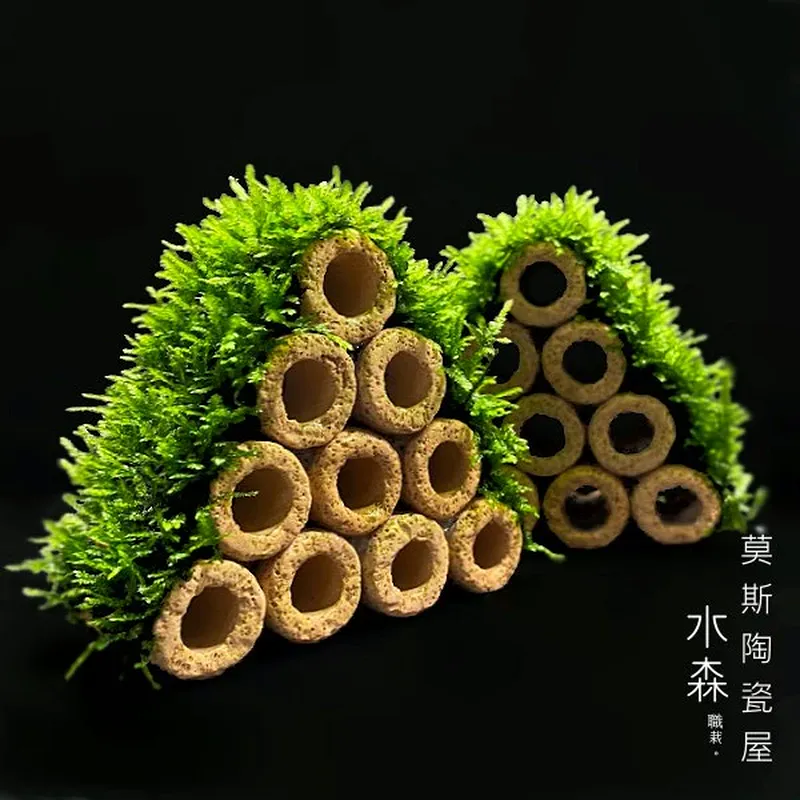 水森職栽 莫絲陶瓷蝦屋