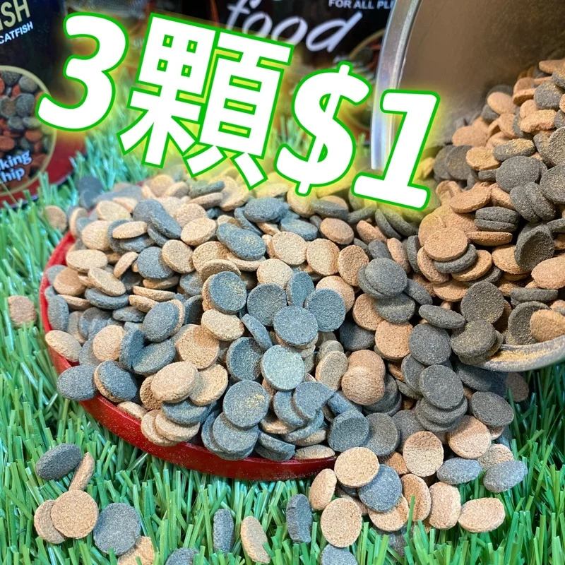 雅柏 底棲螺旋藻錠片（3 顆 $1）