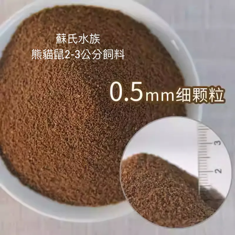 蘇氏水族 熊貓鼠 2–3cm 活體